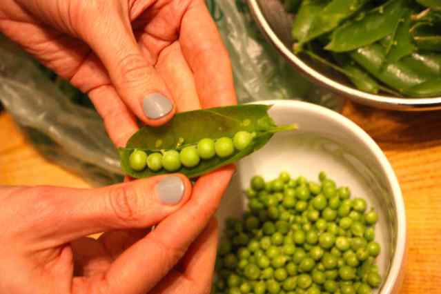 Give peas a chance!